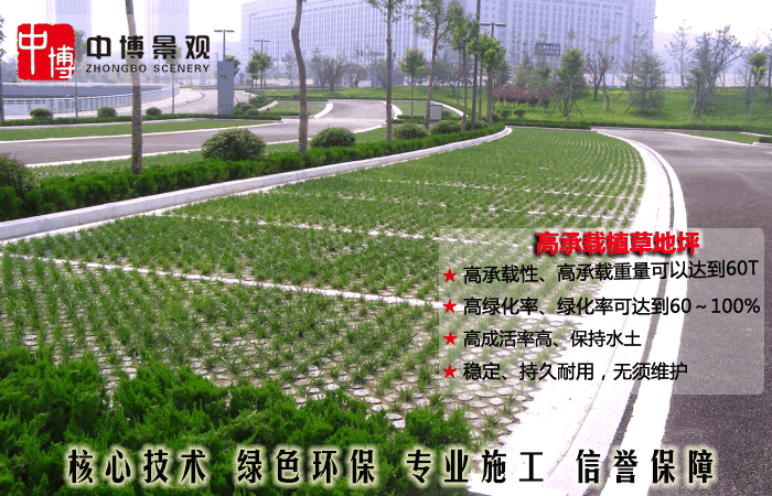 12 高承载植草地坪.png